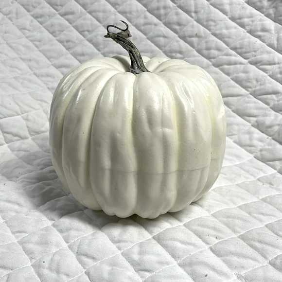 Fall pumpkin - Picture 1 of 1